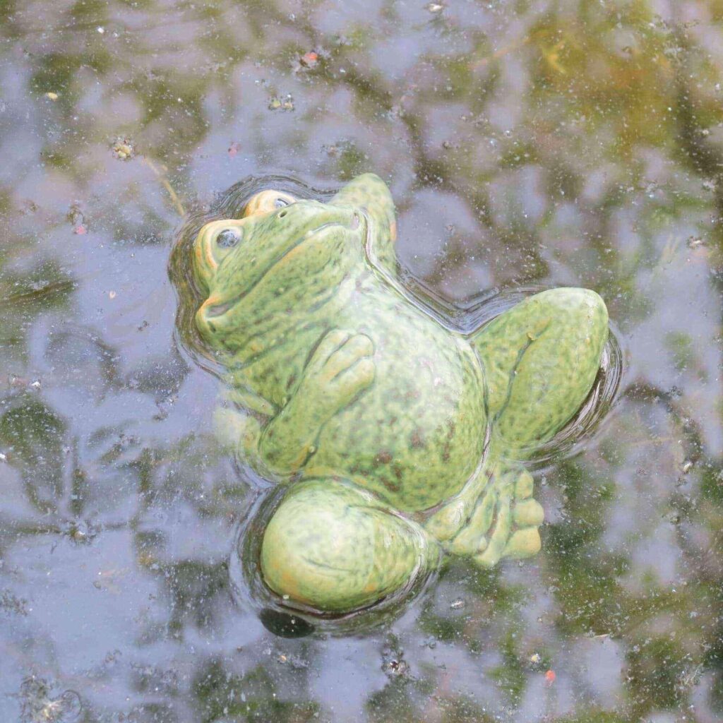 Entspannter Keramik Frosch für den Gartenteich keramiko.de