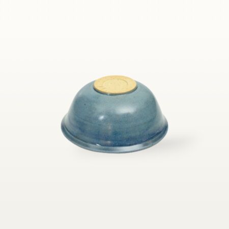 Alternative view of Müslischale Schnecke - Tierfreunde - Blau